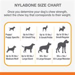 Nylabone Os Durable Substitut aux Animaux Femur Boeuf Moyen