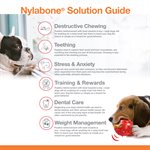 Nylabone Os Durable Substitut aux Animaux Femur Boeuf Moyen