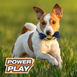 Nylabone Power Play Tennis Play 'n Fetch Interactive Dog Toy