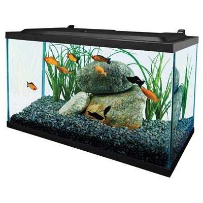 tetra aquarium 20 gallon fish tank kit