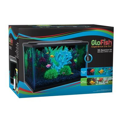 Spectrum GloFish Glass Aquarium Kit 5 Gallons