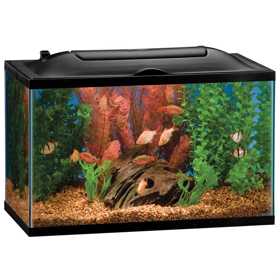 Marineland BIOWheel LED Aquarium Kit 10 Gallons