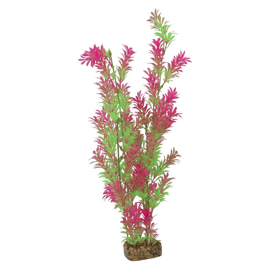 Spectrum GloFish Plant Extra Large Green Pink