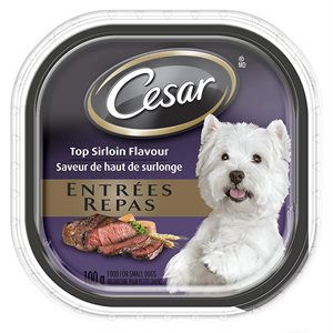 Cesar Chien Adulte Entrée Saveur Haut de Surlonge 24 / 100g