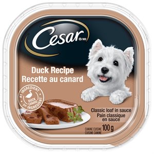 Cesar Chien Adulte Pain Classique en Sauce Recette de Canard 24 / 100g