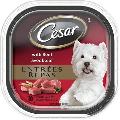 Cesar Chien Adulte Pain Classique en Sauce Recette de Boeuf 24 / 100g