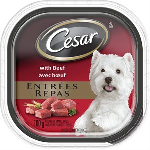 Cesar Chien Adulte Pain Classique en Sauce Recette de Boeuf 24 / 100g