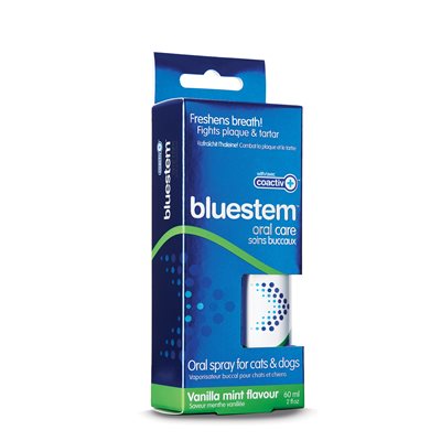 Bluestem Oral Care Spray Vanilla Mint Flavor 60ml