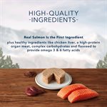 Blue Wilderness Adult Salmon Recipe 24 / 3 oz