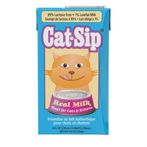 cat sip milk reviews